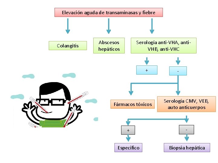Elevación aguda de transaminasas y fiebre Colangitis Serología anti-VHA, anti. VHB, anti-VHC Abscesos hepáticos