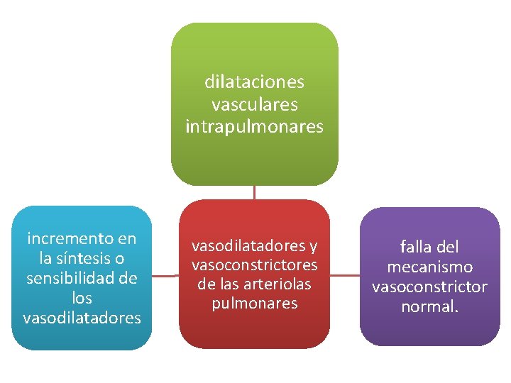 dilataciones vasculares intrapulmonares incremento en la síntesis o sensibilidad de los vasodilatadores y vasoconstrictores