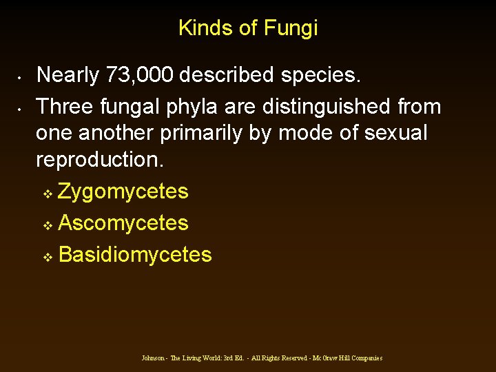 Kinds of Fungi • • Nearly 73, 000 described species. Three fungal phyla are Kinds of Fungi • • Nearly 73, 000 described species. Three fungal phyla are