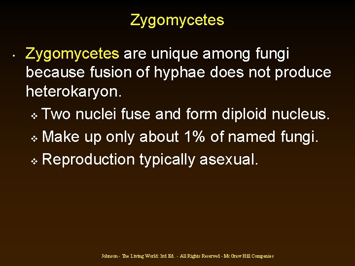 Zygomycetes • Zygomycetes are unique among fungi because fusion of hyphae does not produce Zygomycetes • Zygomycetes are unique among fungi because fusion of hyphae does not produce
