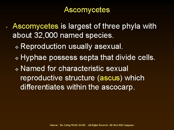 Ascomycetes • Ascomycetes is largest of three phyla with about 32, 000 named species. Ascomycetes • Ascomycetes is largest of three phyla with about 32, 000 named species.