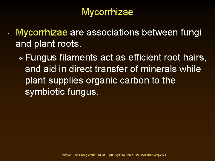Mycorrhizae • Mycorrhizae are associations between fungi and plant roots. v Fungus filaments act Mycorrhizae • Mycorrhizae are associations between fungi and plant roots. v Fungus filaments act