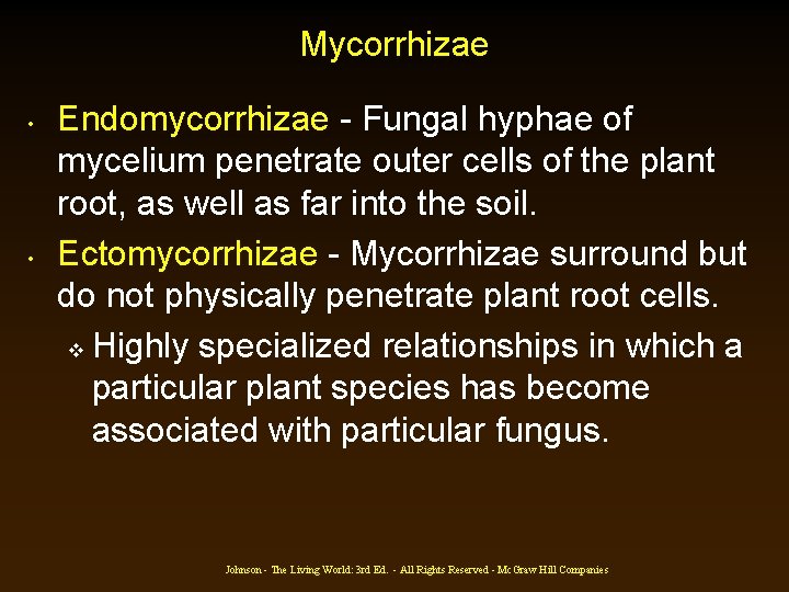 Mycorrhizae • • Endomycorrhizae - Fungal hyphae of mycelium penetrate outer cells of the Mycorrhizae • • Endomycorrhizae - Fungal hyphae of mycelium penetrate outer cells of the