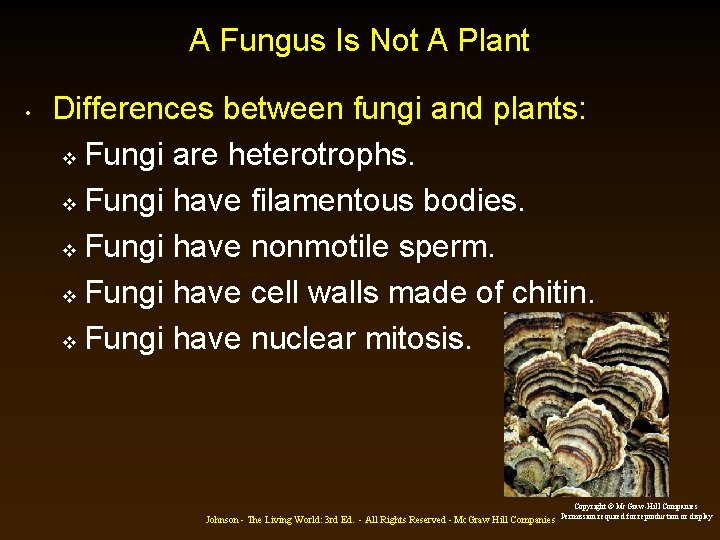 A Fungus Is Not A Plant • Differences between fungi and plants: v Fungi A Fungus Is Not A Plant • Differences between fungi and plants: v Fungi