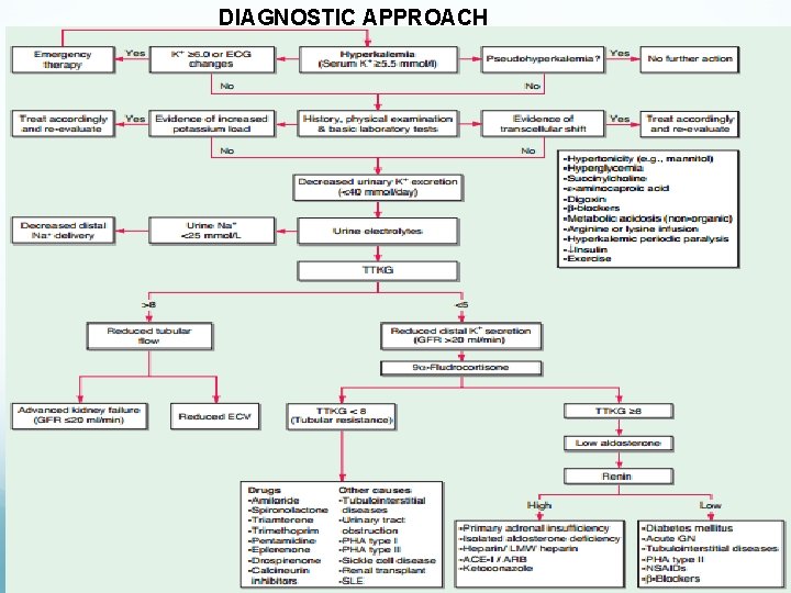 DIAGNOSTIC APPROACH 