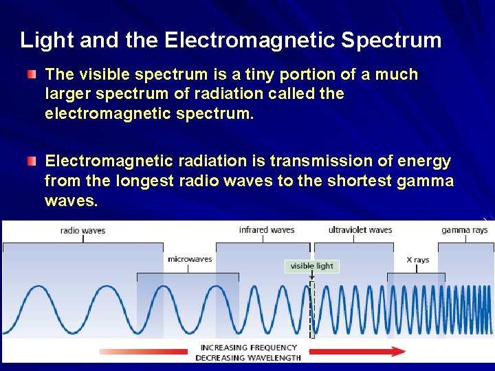 Light and the Electromagnetic Spectrum The visible spectrum is a tiny portion of a Light and the Electromagnetic Spectrum The visible spectrum is a tiny portion of a