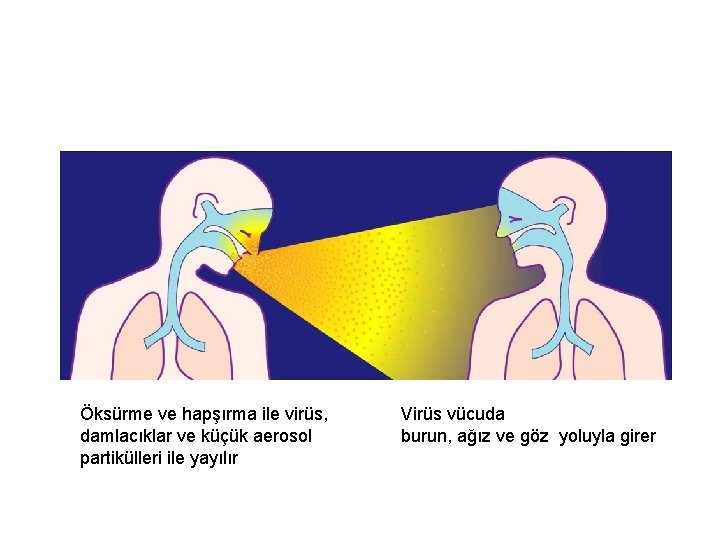 İnfluenza Çok Bulaşıcıdır Öksürme ve hapşırma ile virüs, damlacıklar ve küçük aerosol partikülleri ile