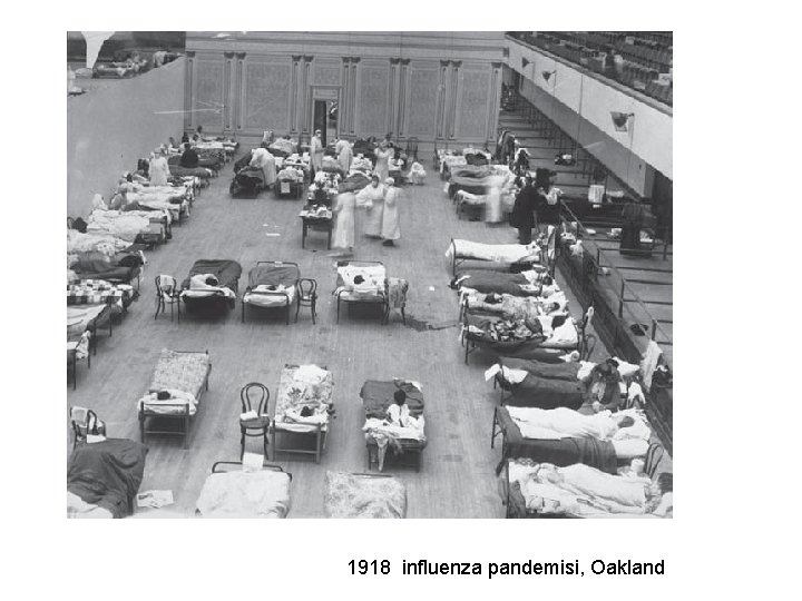 1918 influenza pandemisi, Oakland 