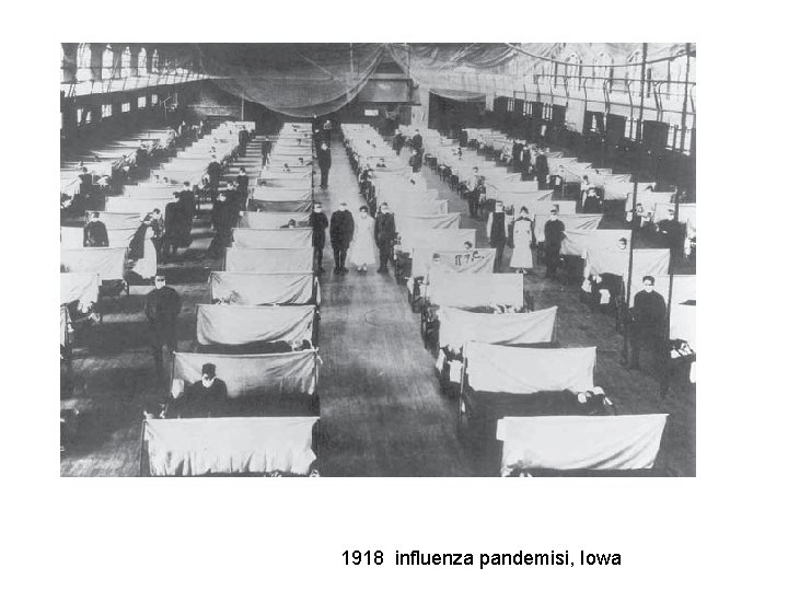 1918 influenza pandemisi, Iowa 