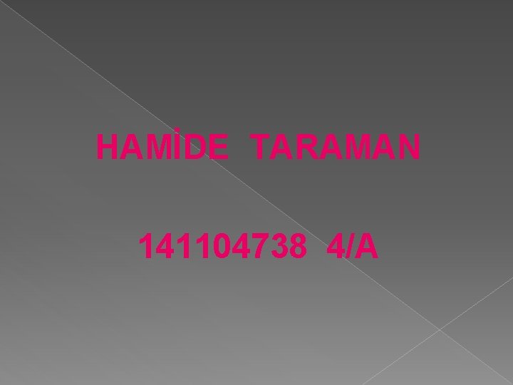 HAMİDE TARAMAN 141104738 4/A 