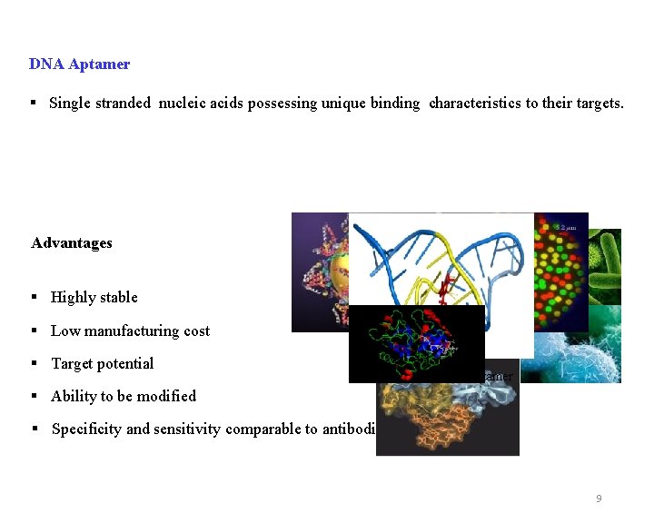 Development of DNA aptamers against human heart type