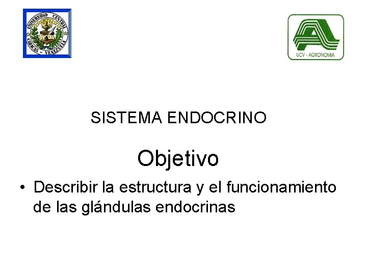 SISTEMA ENDOCRINO Objetivo • Describir la estructura y el funcionamiento de las glándulas endocrinas