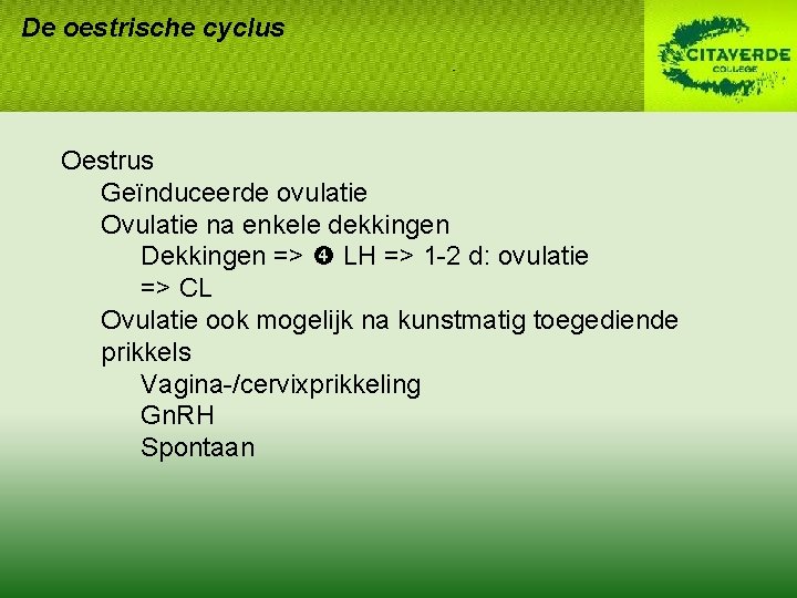 De oestrische cyclus Oestrus Geïnduceerde ovulatie Ovulatie na enkele dekkingen Dekkingen => LH => De oestrische cyclus Oestrus Geïnduceerde ovulatie Ovulatie na enkele dekkingen Dekkingen => LH =>