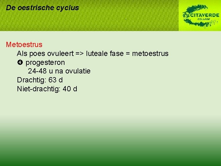 De oestrische cyclus Metoestrus Als poes ovuleert => luteale fase = metoestrus progesteron 24 De oestrische cyclus Metoestrus Als poes ovuleert => luteale fase = metoestrus progesteron 24