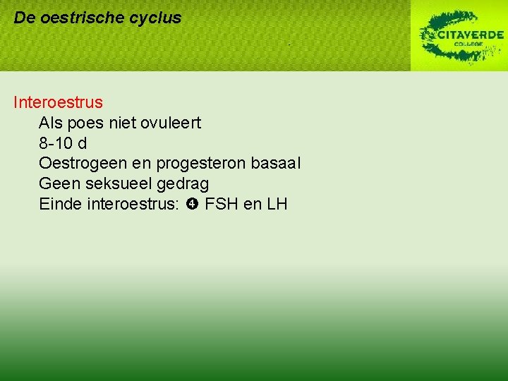 De oestrische cyclus Interoestrus Als poes niet ovuleert 8 -10 d Oestrogeen en progesteron De oestrische cyclus Interoestrus Als poes niet ovuleert 8 -10 d Oestrogeen en progesteron