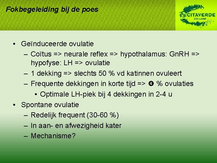Fokbegeleiding bij de poes • Geïnduceerde ovulatie – Coïtus => neurale reflex => hypothalamus: Fokbegeleiding bij de poes • Geïnduceerde ovulatie – Coïtus => neurale reflex => hypothalamus:
