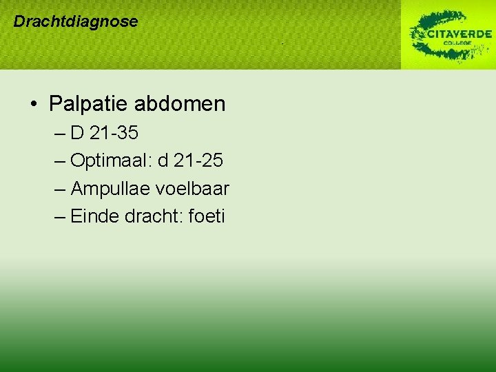 Drachtdiagnose • Palpatie abdomen – D 21 -35 – Optimaal: d 21 -25 – Drachtdiagnose • Palpatie abdomen – D 21 -35 – Optimaal: d 21 -25 –