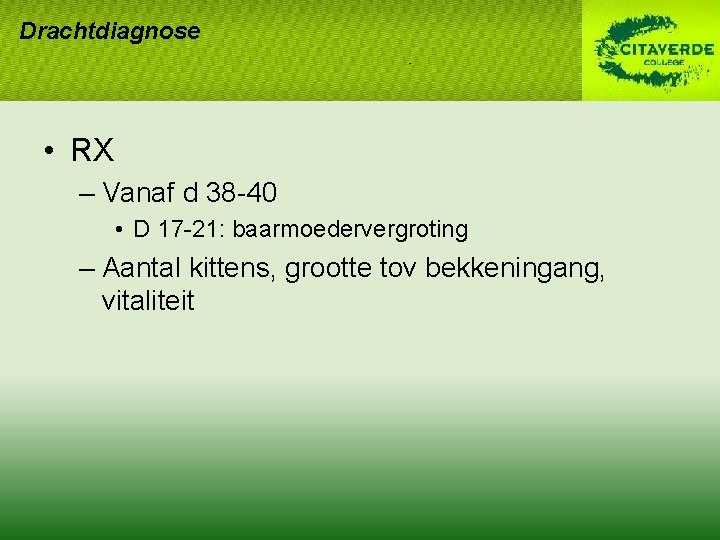 Drachtdiagnose • RX – Vanaf d 38 -40 • D 17 -21: baarmoedervergroting – Drachtdiagnose • RX – Vanaf d 38 -40 • D 17 -21: baarmoedervergroting –