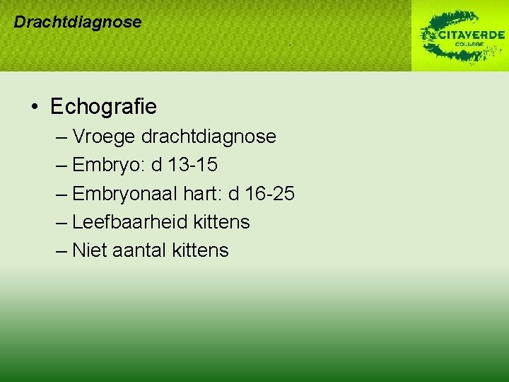 Drachtdiagnose • Echografie – Vroege drachtdiagnose – Embryo: d 13 -15 – Embryonaal hart: Drachtdiagnose • Echografie – Vroege drachtdiagnose – Embryo: d 13 -15 – Embryonaal hart: