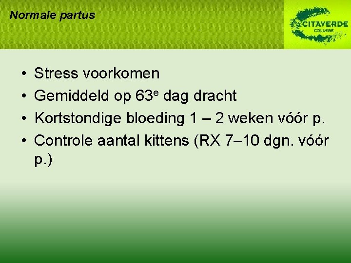 Normale partus • • Stress voorkomen Gemiddeld op 63 e dag dracht Kortstondige bloeding Normale partus • • Stress voorkomen Gemiddeld op 63 e dag dracht Kortstondige bloeding