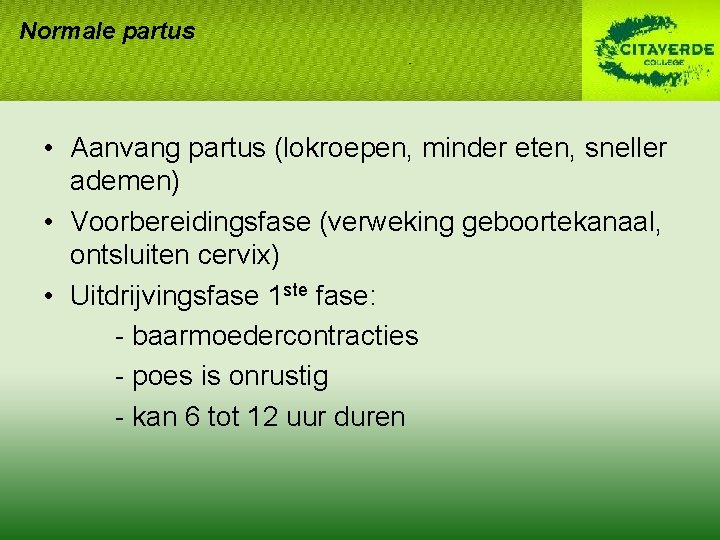 Normale partus • Aanvang partus (lokroepen, minder eten, sneller ademen) • Voorbereidingsfase (verweking geboortekanaal, Normale partus • Aanvang partus (lokroepen, minder eten, sneller ademen) • Voorbereidingsfase (verweking geboortekanaal,