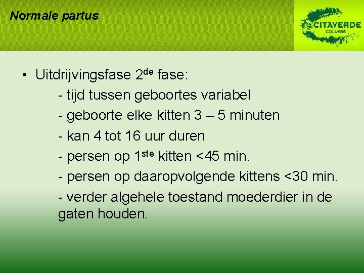 Normale partus • Uitdrijvingsfase 2 de fase: - tijd tussen geboortes variabel - geboorte Normale partus • Uitdrijvingsfase 2 de fase: - tijd tussen geboortes variabel - geboorte