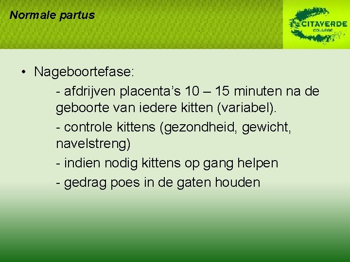Normale partus • Nageboortefase: - afdrijven placenta’s 10 – 15 minuten na de geboorte Normale partus • Nageboortefase: - afdrijven placenta’s 10 – 15 minuten na de geboorte