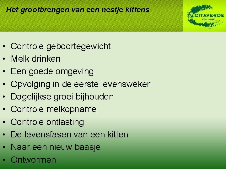 Het grootbrengen van een nestje kittens • • • Controle geboortegewicht Melk drinken Een Het grootbrengen van een nestje kittens • • • Controle geboortegewicht Melk drinken Een