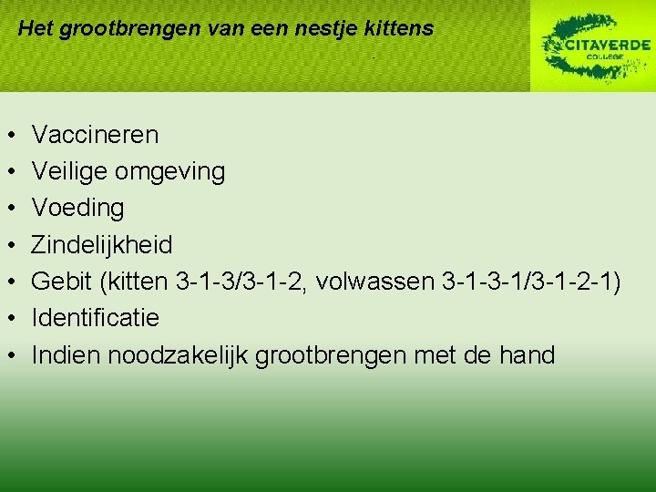 Het grootbrengen van een nestje kittens • • Vaccineren Veilige omgeving Voeding Zindelijkheid Gebit Het grootbrengen van een nestje kittens • • Vaccineren Veilige omgeving Voeding Zindelijkheid Gebit