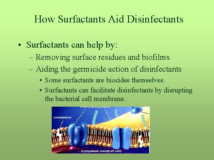 How Surfactants Aid Disinfectants • Surfactants can help by: – Removing surface residues and