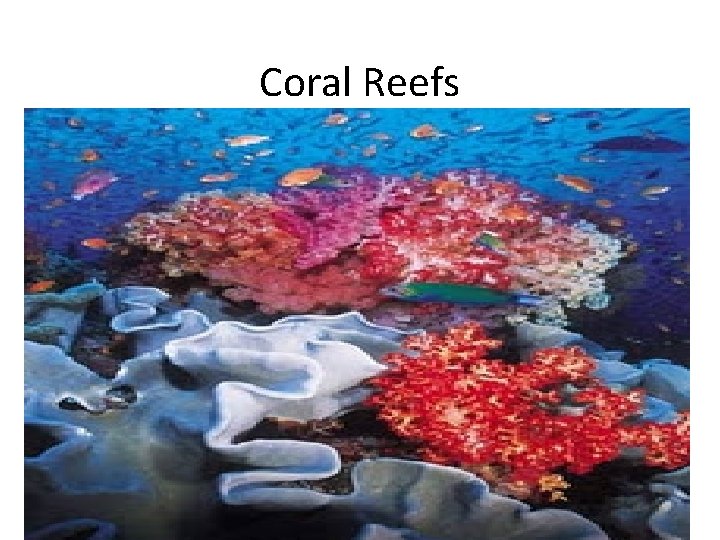 Coral Reefs 