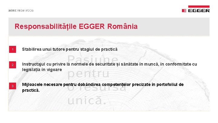 Responsabilitățile EGGER România 1 2 3 Stabilirea unui tutore pentru stagiul de practică Instructajul