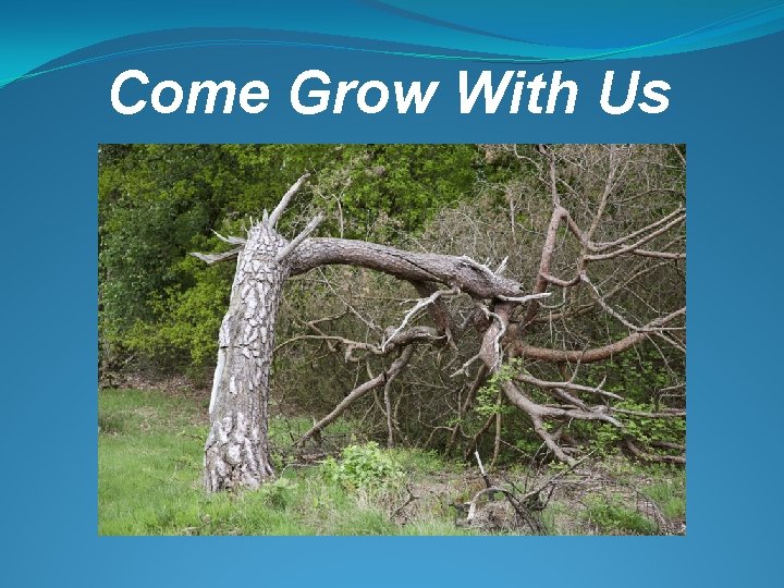 Come Grow With Us 