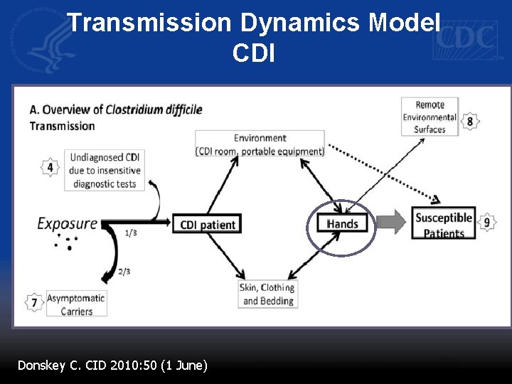 Transmission Dynamics Model CDI Donskey C. CID 2010: 50 (1 June) 