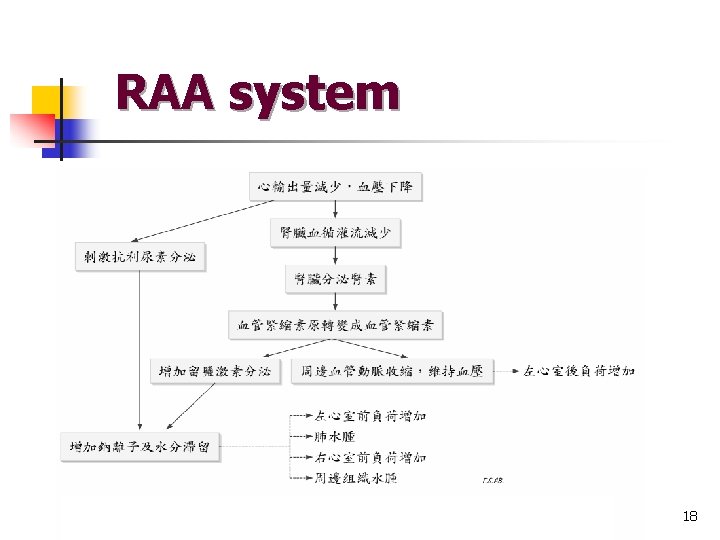 RAA system 18 