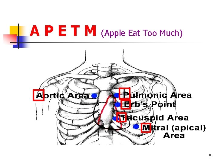 A P E T M (Apple Eat Too Much) 8 