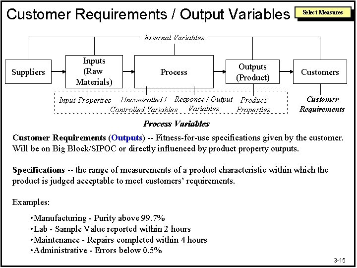 Customer Requirements / Output Variables Select Measures External Variables Suppliers Inputs (Raw Materials) Process