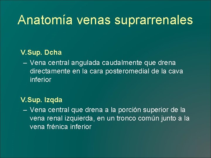 Anatomía venas suprarrenales V. Sup. Dcha – Vena central angulada caudalmente que drena directamente