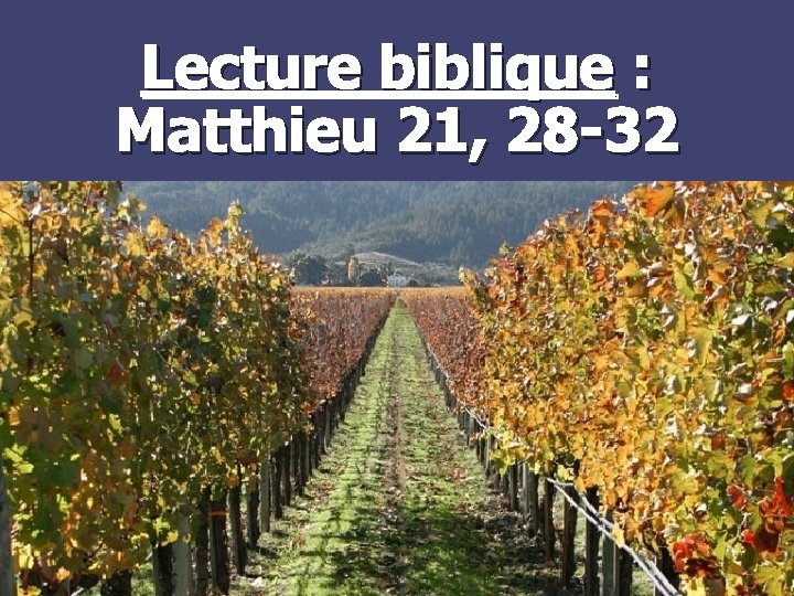 Lecture biblique : Matthieu 21, 28 -32 