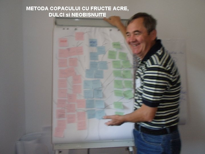 METODA COPACULUI CU FRUCTE ACRE, DULCI si NEOBISNUITE 