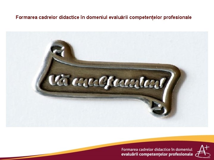 Formarea cadrelor didactice în domeniul evaluării competențelor profesionale 