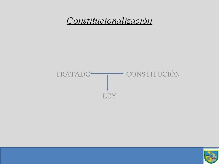 Constitucionalización TRATADO CONSTITUCIÓN LEY 