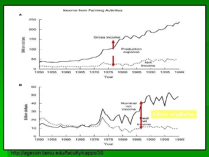 Effects of inflation http: //agecon. tamu. edu/faculty/capps/30 Effects of inflation http: //agecon. tamu. edu/faculty/capps/30