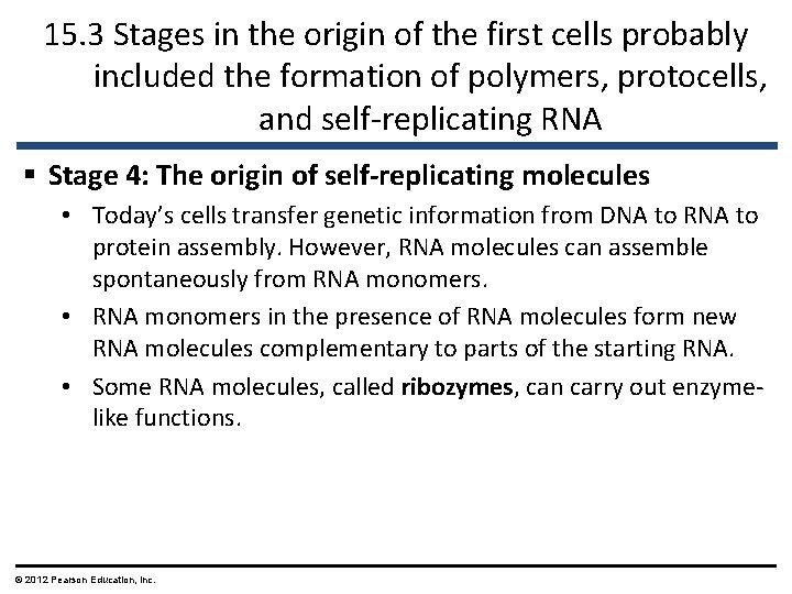 15. 3 Stages in the origin of the first cells probably included the formation