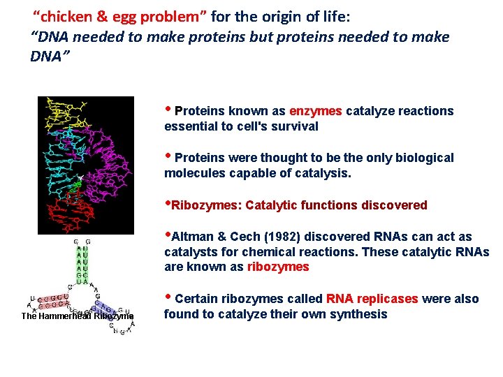 “chicken & egg problem” for the origin of life: “DNA needed to make proteins “chicken & egg problem” for the origin of life: “DNA needed to make proteins