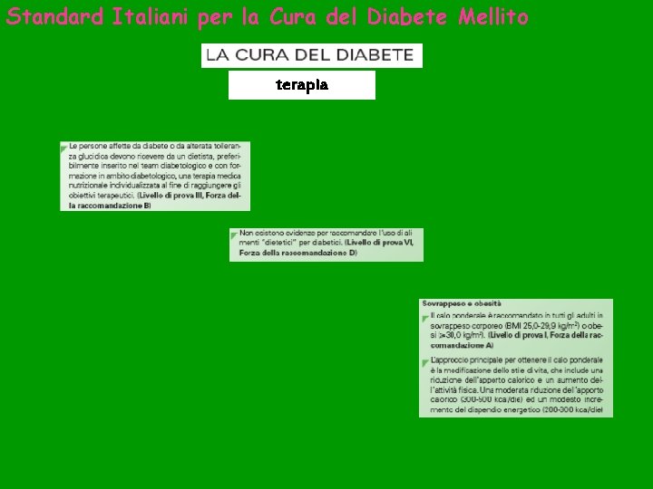 Standard Italiani per la Cura del Diabete Mellito terapia 