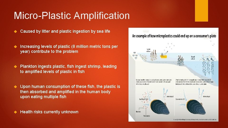 Micro-Plastic Amplification Caused by litter and plastic ingestion by sea life Increasing levels of