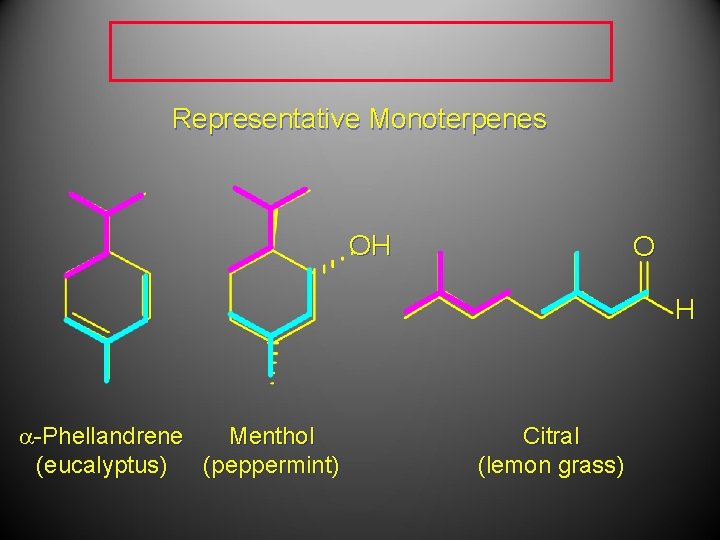 Representative Monoterpenes OH O H a-Phellandrene Menthol (eucalyptus) (peppermint) Citral (lemon grass) Representative Monoterpenes OH O H a-Phellandrene Menthol (eucalyptus) (peppermint) Citral (lemon grass)