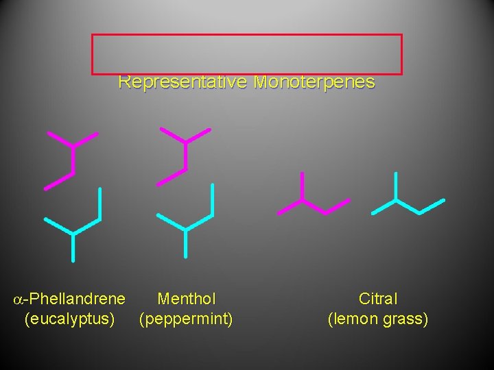Representative Monoterpenes a-Phellandrene Menthol (eucalyptus) (peppermint) Citral (lemon grass) Representative Monoterpenes a-Phellandrene Menthol (eucalyptus) (peppermint) Citral (lemon grass)