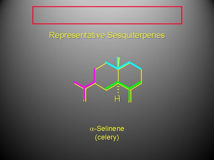 Representative Sesquiterpenes H a-Selinene (celery) Representative Sesquiterpenes H a-Selinene (celery)